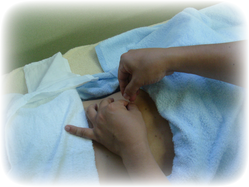 画像の説明 画像の説明